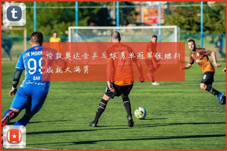 伦敦奥运会乒乓球男单冠军张继科成就大满贯