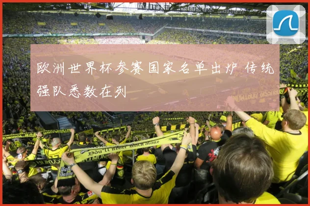 欧洲世界杯参赛国家名单出炉 传统强队悉数在列